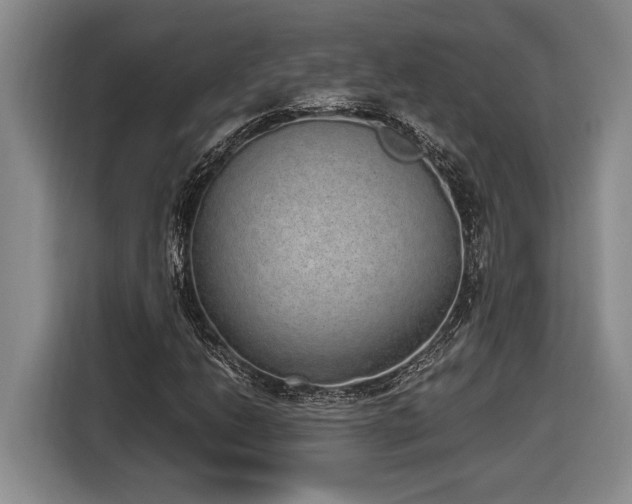 X0000116861206200912221132