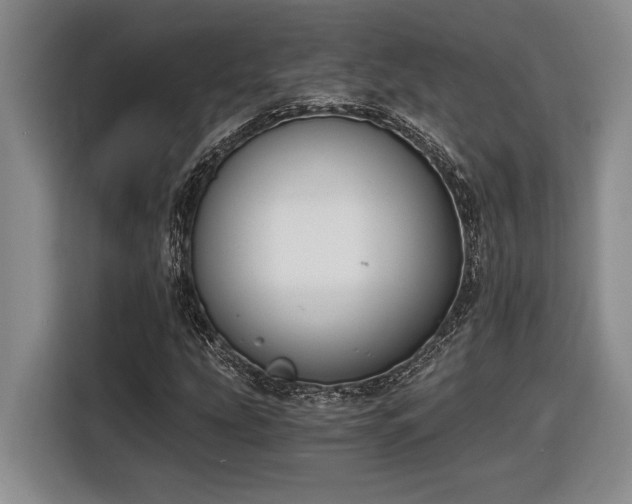 X0000116861207200912221132