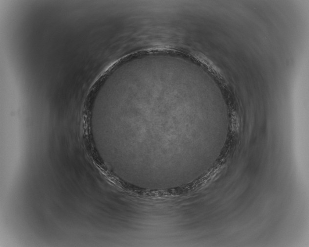 X0000116861208200912221132