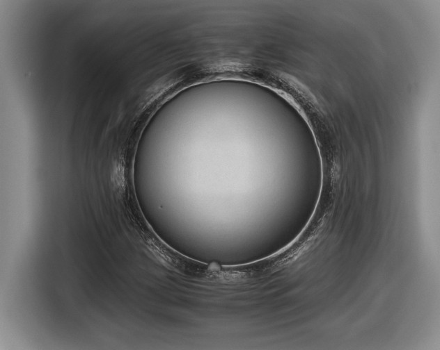 X0000116861209200912221132