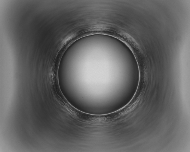X0000116861210200912221132