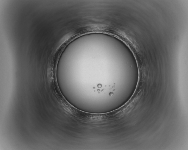 X0000116861211200912221132