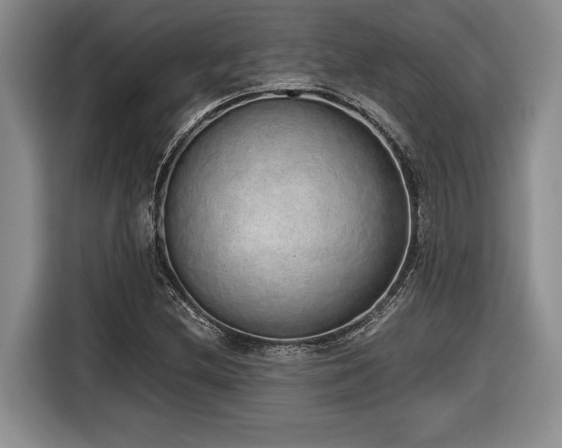 X0000116861212200912221132