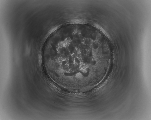X0000116861213200912221132