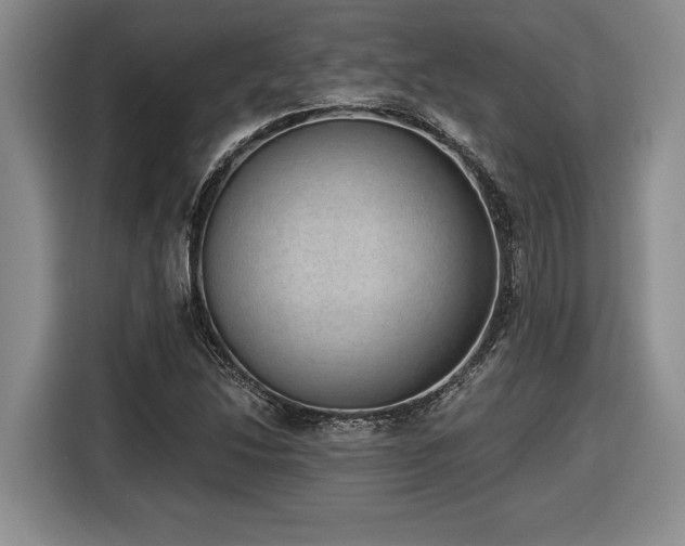 X0000116861214200912221132