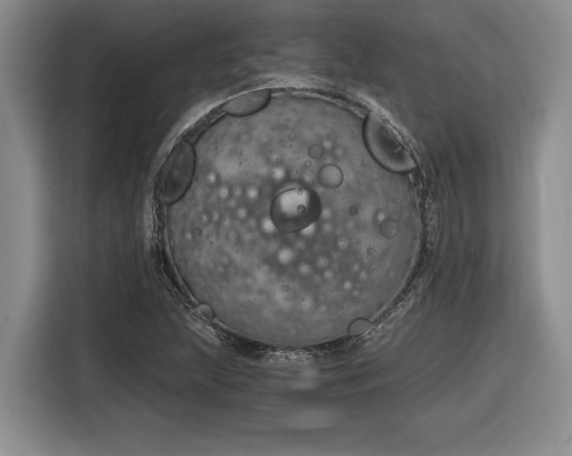 X0000116861215200912221132