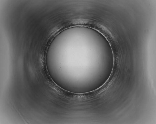 X0000116861217200912221132