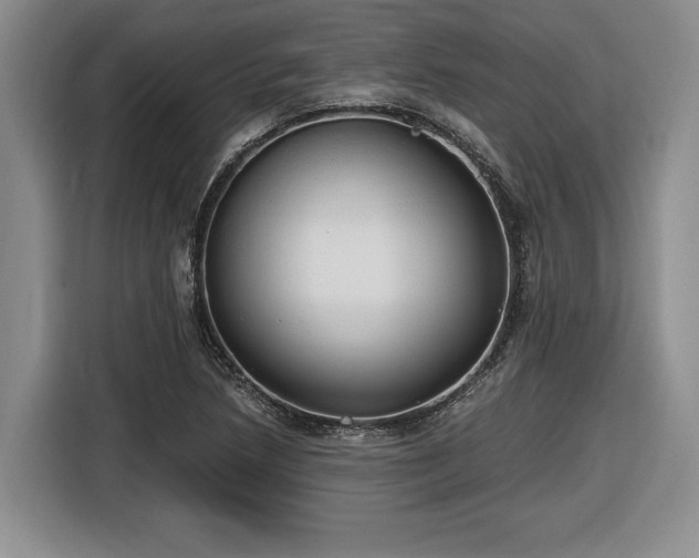 X0000116861218200912221132