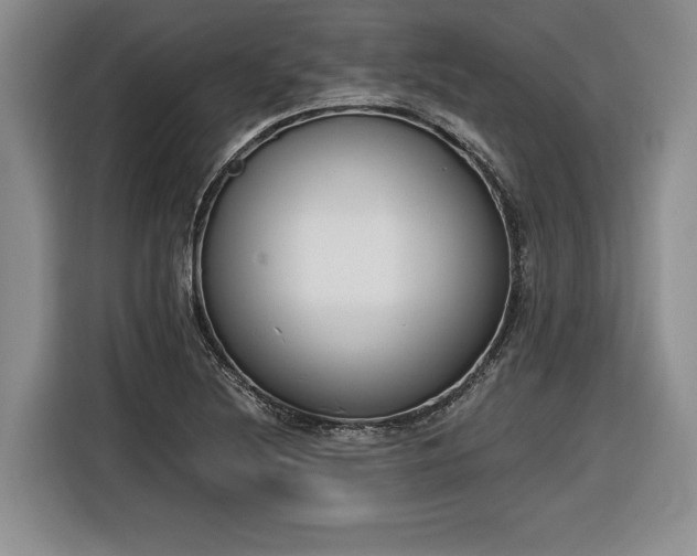 X0000116861220200912221132