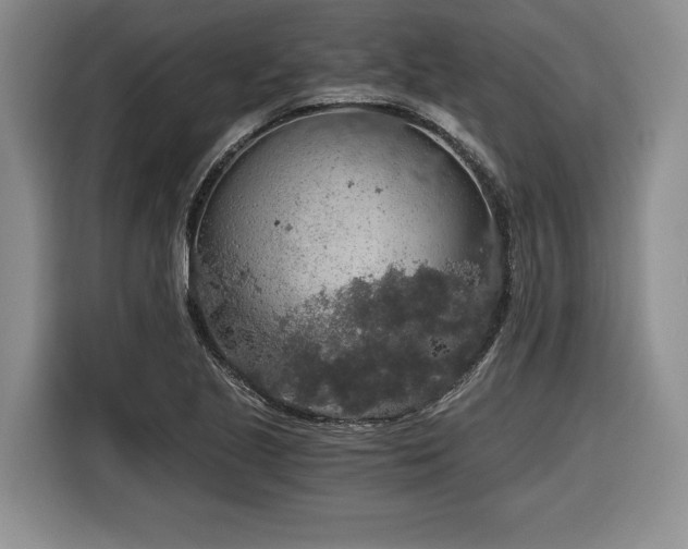 X0000116861221200912221132
