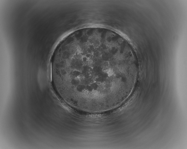 X0000116861223200912221132