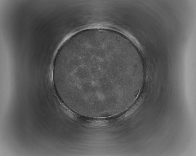 X0000116861224200912221132