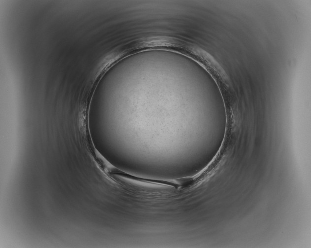 X0000116861225200912221132