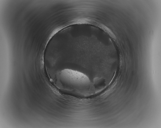 X0000116861226200912221132