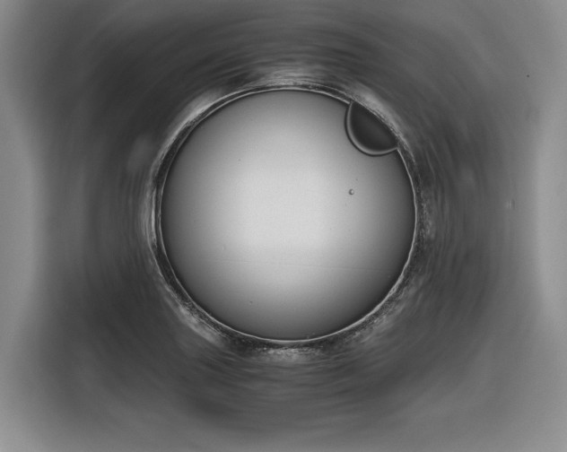 X0000116861227200912221132