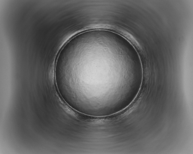 X0000116861228200912221132