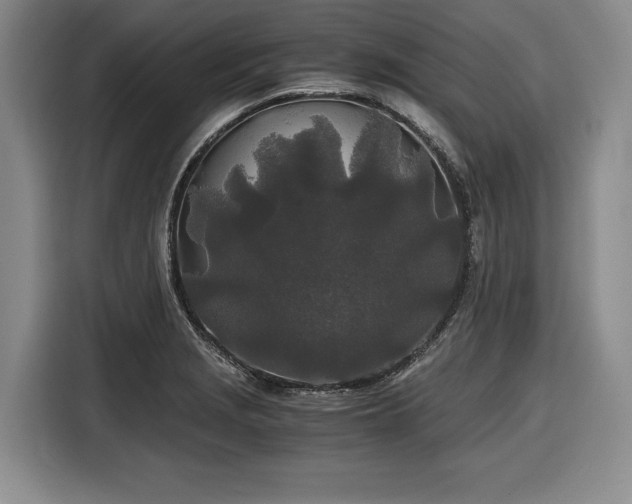 X0000116861229200912221132