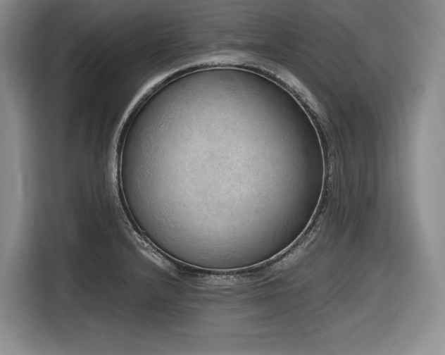 X0000116861232200912221132