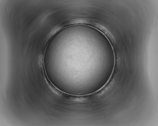 X0000116861233200912221132