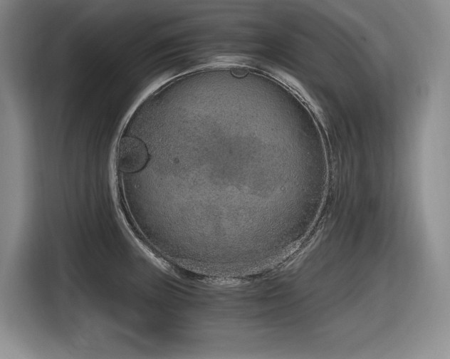 X0000116861235200912221132