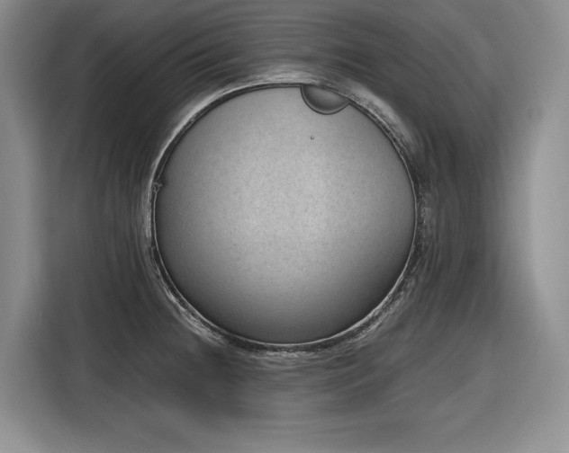 X0000116861236200912221132