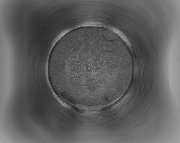 X0000116861237200912221132