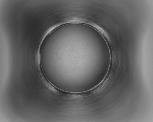 X0000116861238200912221132