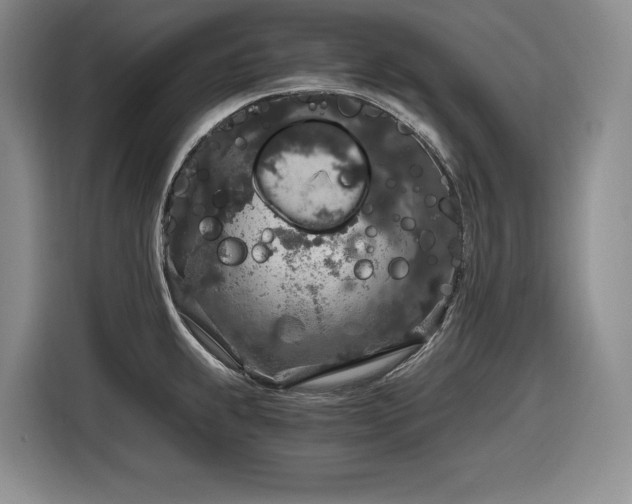 X0000116861239200912221132