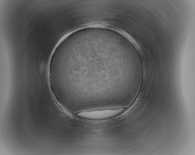 X0000116861240200912221132