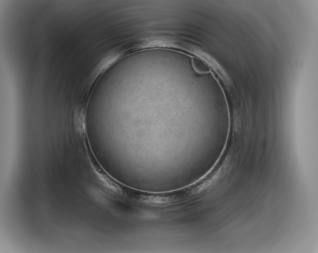X0000116861241200912221132