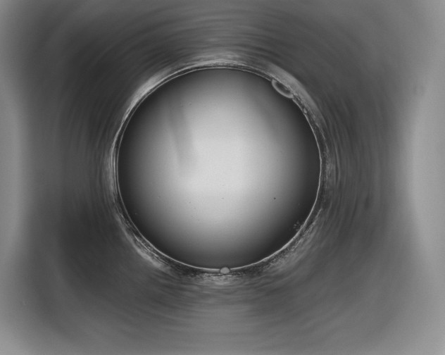 X0000116861242200912221132