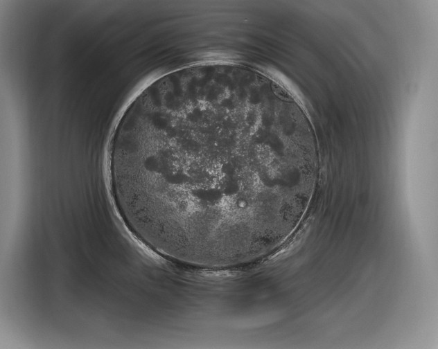 X0000116861243200912221132