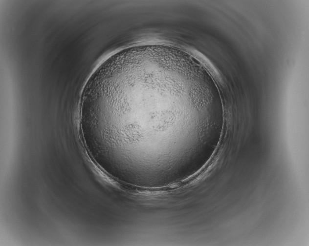 X0000116861244200912221132
