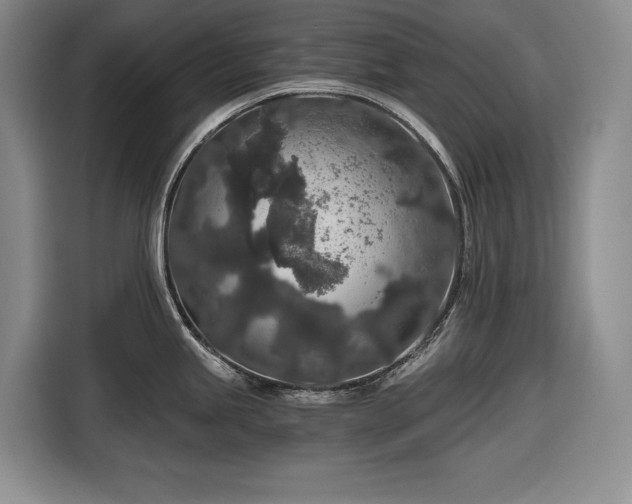 X0000116861245200912221132