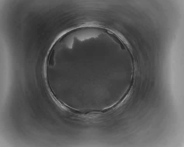 X0000116861246200912221132
