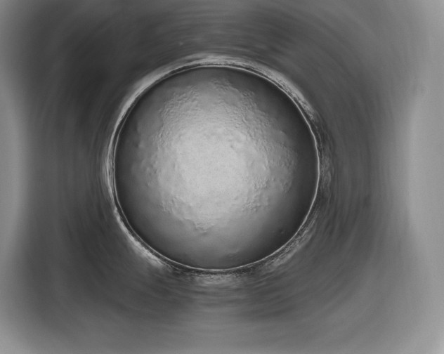 X0000116861247200912221132
