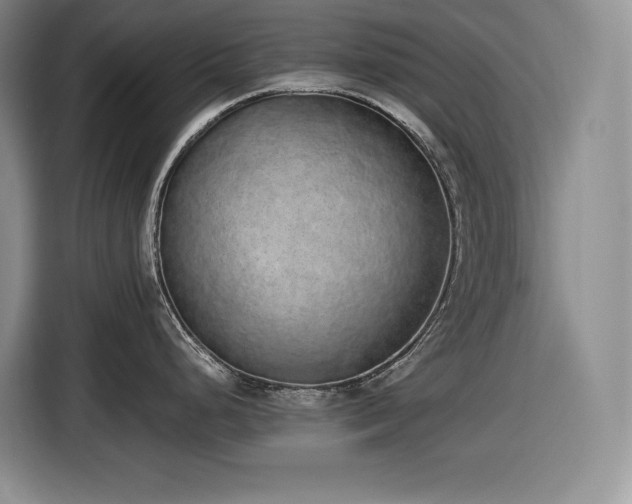 X0000116861248200912221132
