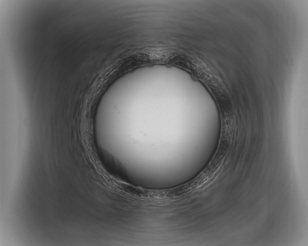 X0000116861249200912221132