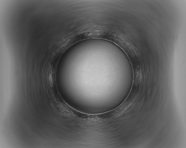 X0000116861250200912221132
