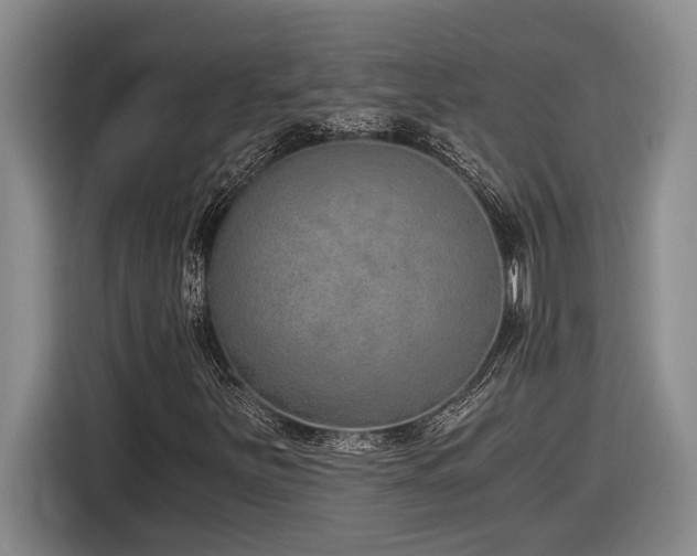 X0000116861251200912221132