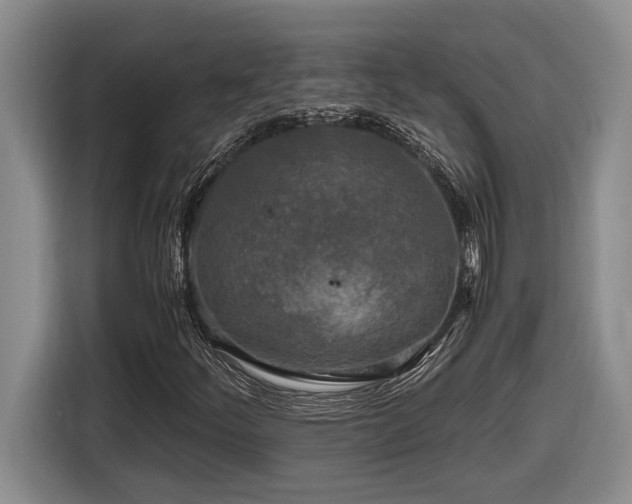 X0000116861252200912221132