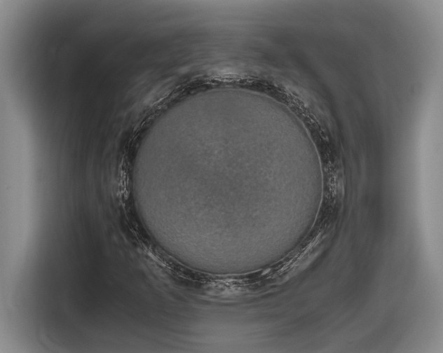 X0000116861253200912221132