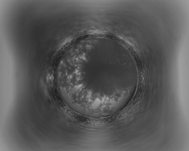 X0000116861254200912221132