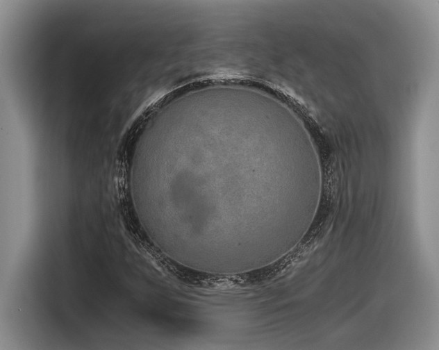 X0000116861255200912221131