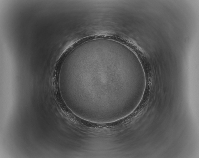 X0000116861256200912221131