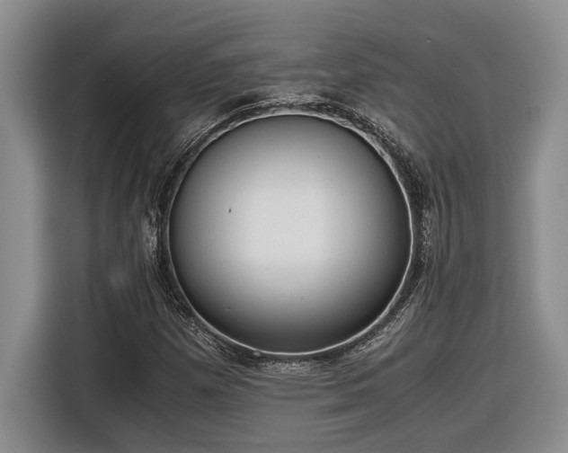 X0000116861257200912221131