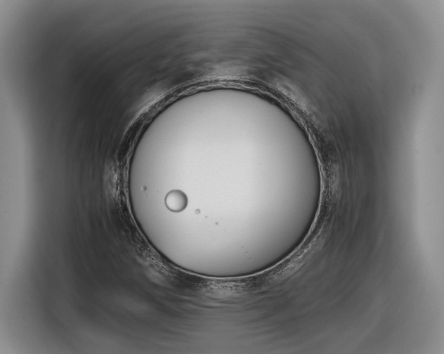 X0000116861258200912221131