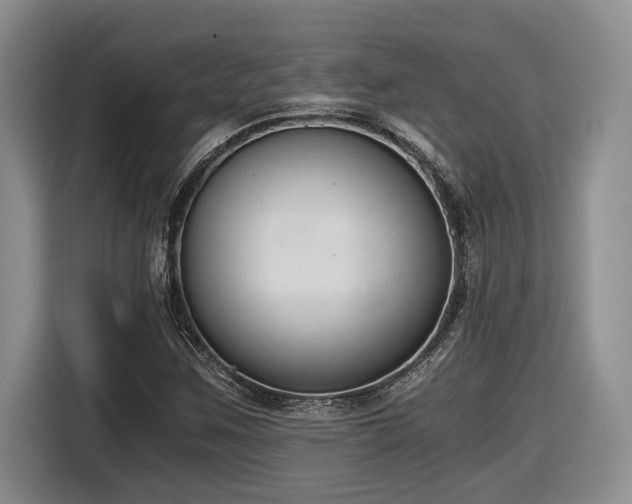 X0000116861259200912221131