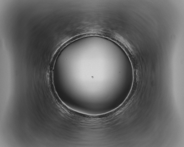 X0000116861260200912221131
