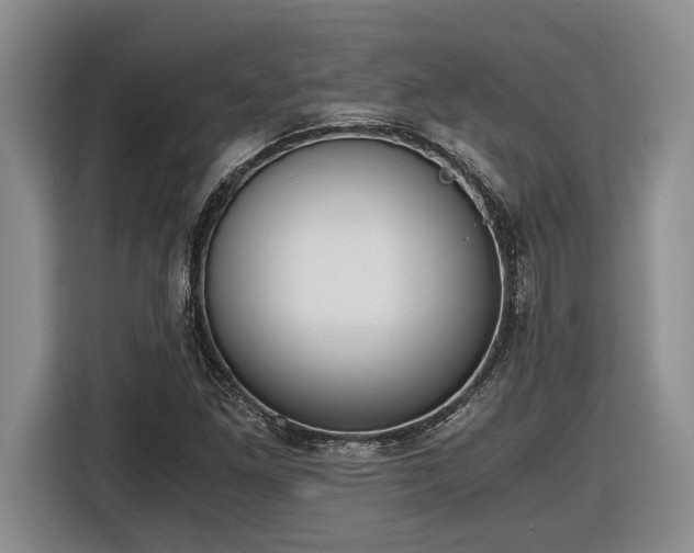 X0000116861261200912221131